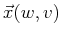 $ \vec{x}(w,v)$