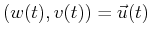 $ (w(t),v(t)) = \vec{u}(t)$