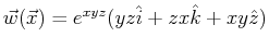 $ \vec{w}(\vec{x}) = e^{x y z} ( y z \hat{i} + z x \hat{k} + x y \hat{z} )$
