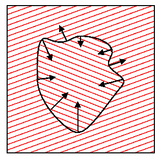 grain-growth-irreg.png