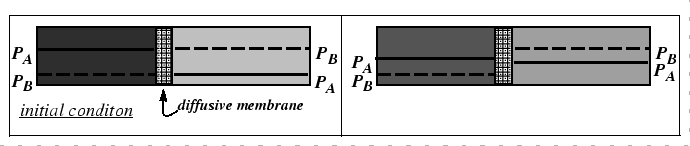 \begin{figure}\resizebox{6in}{!}
{\epsfig{file=figures/Driving_Forces_Fluxes/kirk_analogy_initial.eps}}
\end{figure}