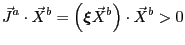 $\displaystyle \vec J^a \cdot \vec X^b = \left( \tensor {\xi} \vec X^b \right) \cdot \vec X^b > 0
$