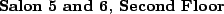 \begin{textbf}{Salon 5 and 6, Second Floor}\end{textbf}